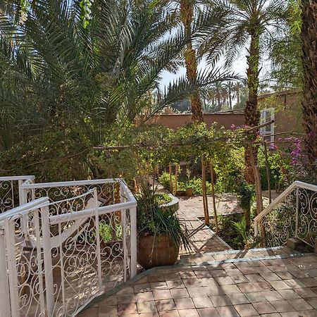 Villa Zagora Ma Villa Au Sahara エクステリア 写真
