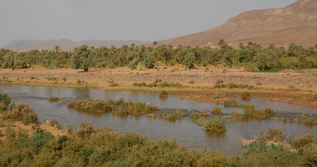 Villa Zagora Ma Villa Au Sahara エクステリア 写真