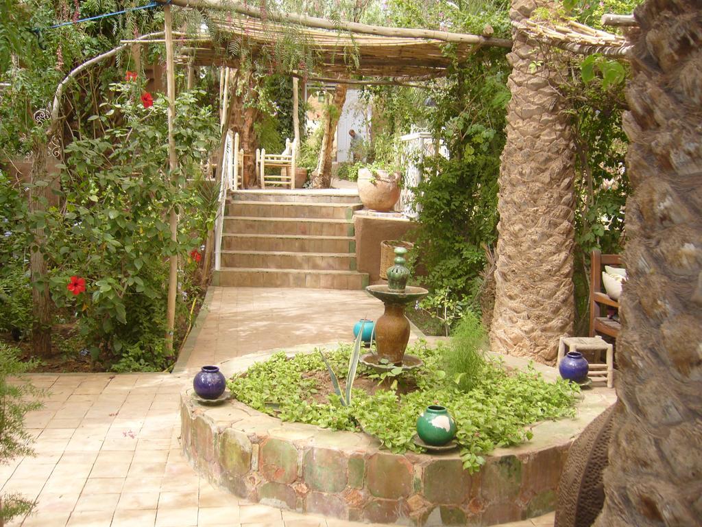 Villa Zagora Ma Villa Au Sahara エクステリア 写真