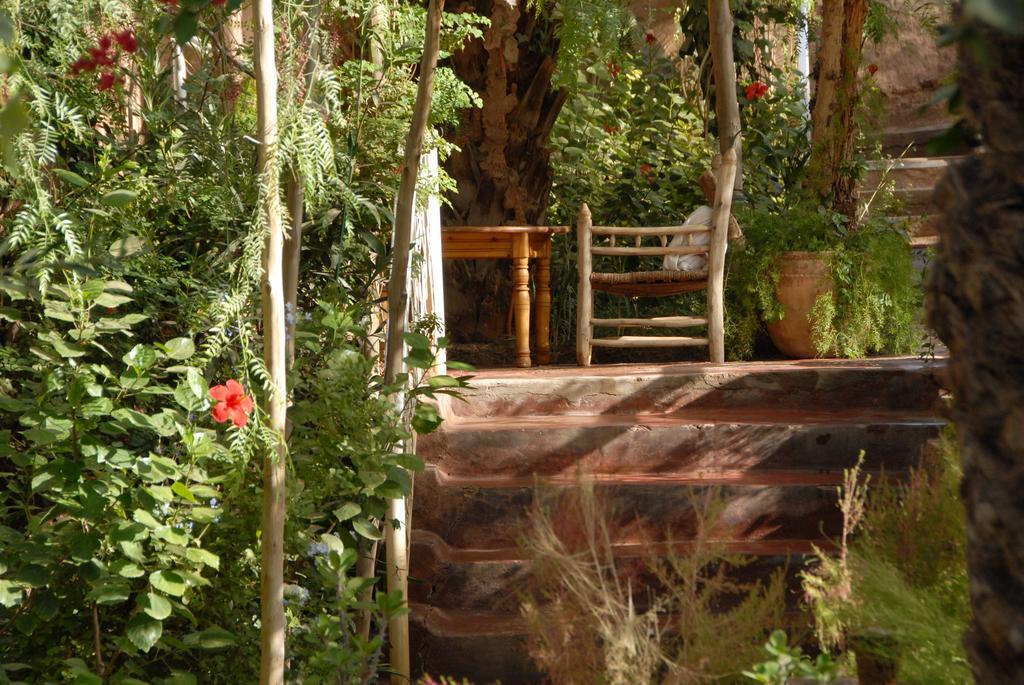 Villa Zagora Ma Villa Au Sahara エクステリア 写真
