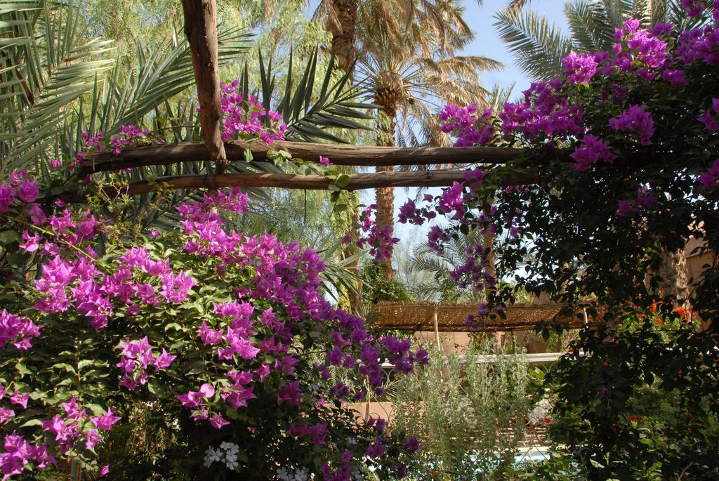 Villa Zagora Ma Villa Au Sahara エクステリア 写真