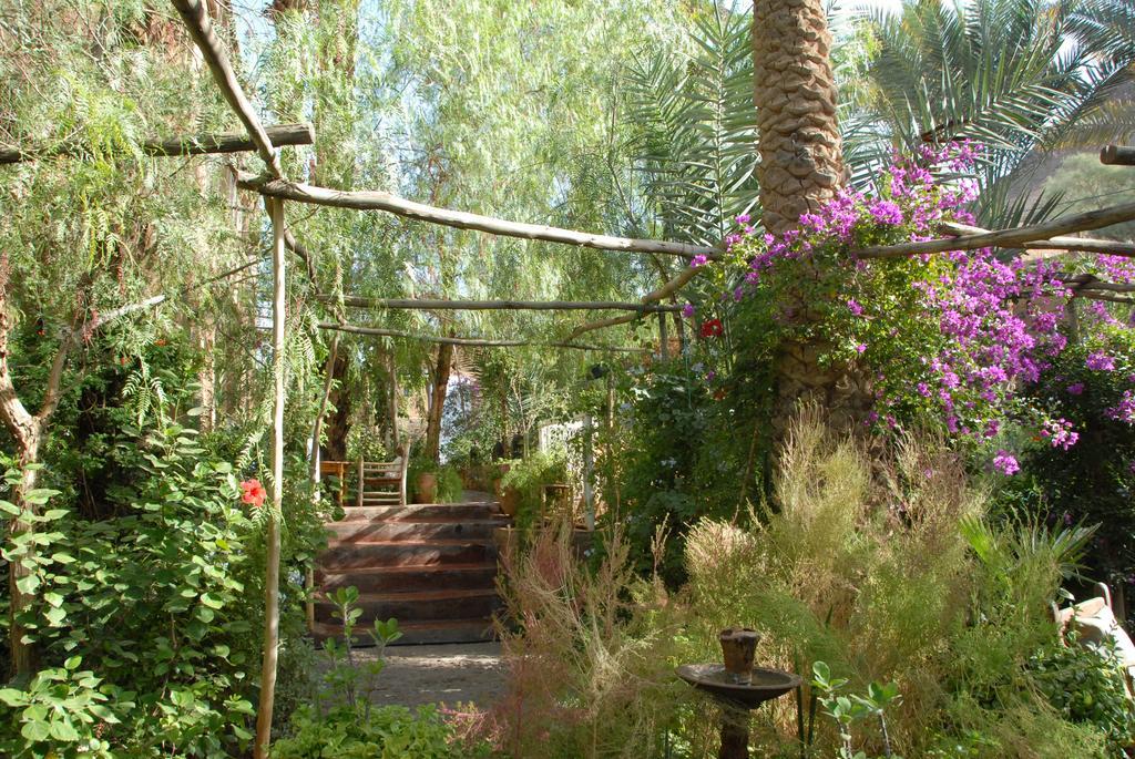 Villa Zagora Ma Villa Au Sahara エクステリア 写真