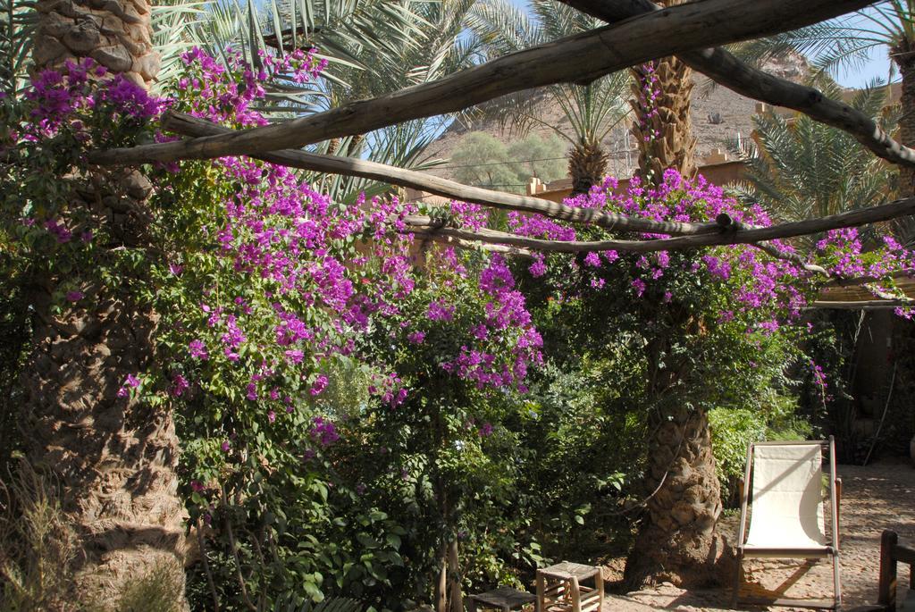 Villa Zagora Ma Villa Au Sahara エクステリア 写真