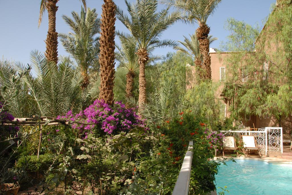 Villa Zagora Ma Villa Au Sahara エクステリア 写真