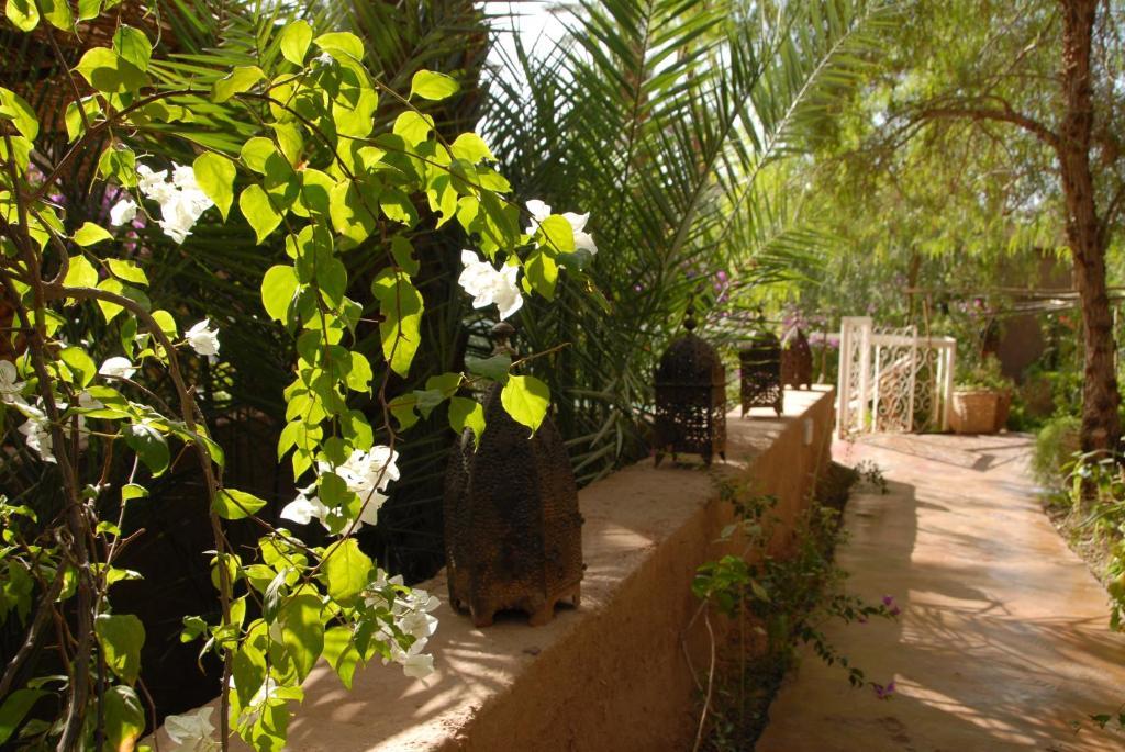Villa Zagora Ma Villa Au Sahara エクステリア 写真