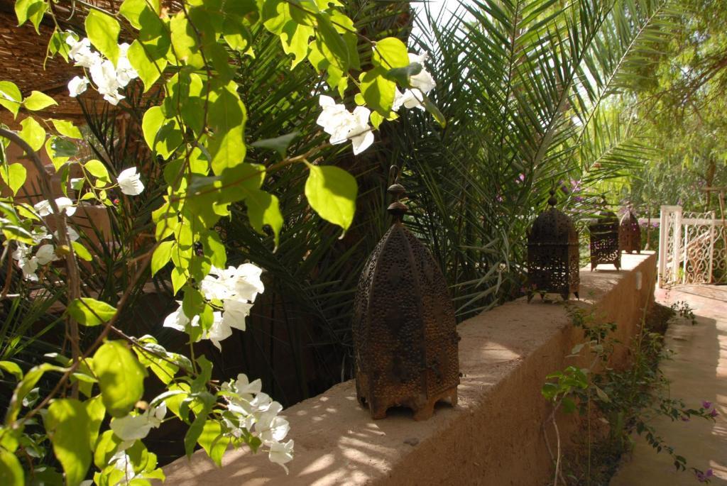 Villa Zagora Ma Villa Au Sahara エクステリア 写真
