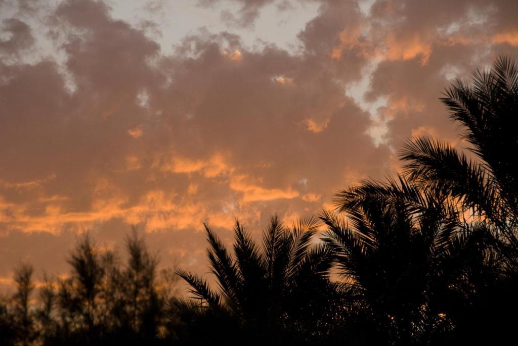 Villa Zagora Ma Villa Au Sahara エクステリア 写真