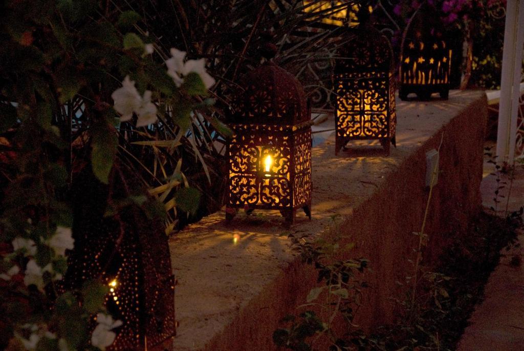 Villa Zagora Ma Villa Au Sahara エクステリア 写真